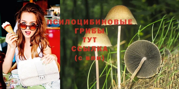 apvp Медвежьегорск