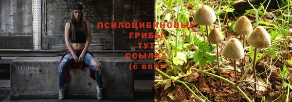 apvp Медвежьегорск